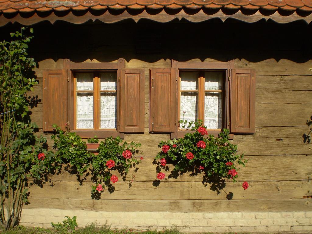 Apartments Iza Na Trem Cigoc Екстер'єр фото