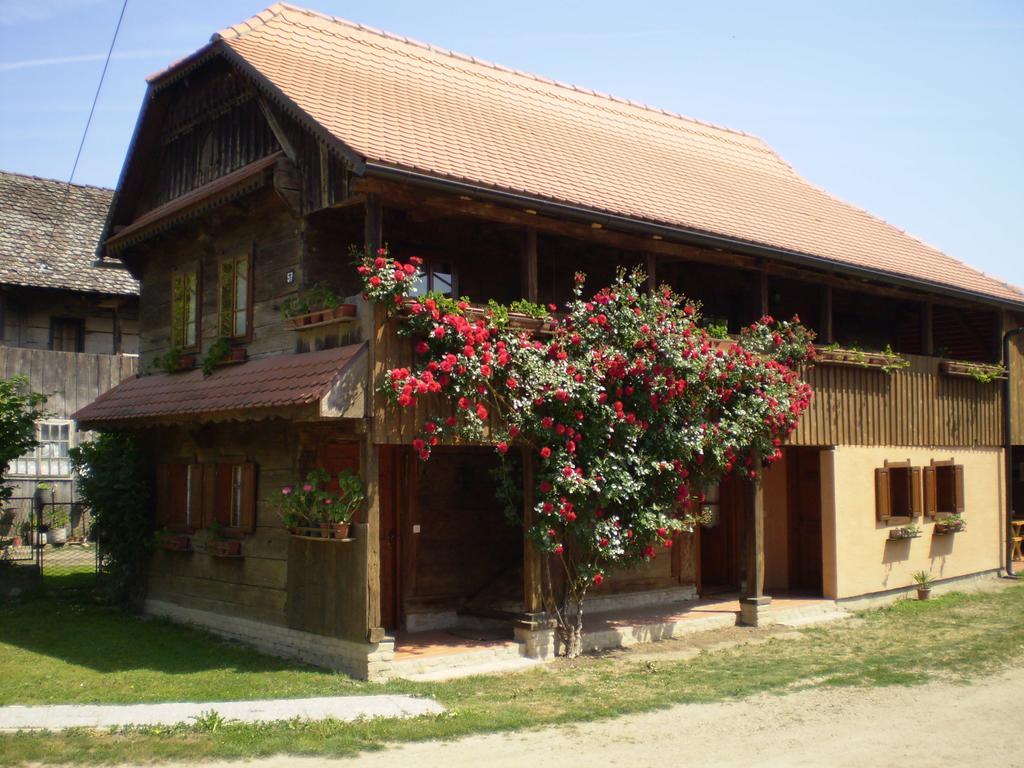 Apartments Iza Na Trem Cigoc Екстер'єр фото